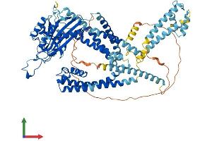 Protein Structure (PS) image for Polycystic Kidney Disease 2-Like 1 (PKD2L1) (AA 1-760) protein (His tag) (ABIN7561859)