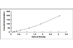 Typical standard curve (CERK ELISA Kit)