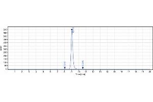 The purity of Anti-CD19 Reference Antibody (tafasitamab) is 98. (Recombinant CD19 (Tafasitamab Biosimilar) antibody)