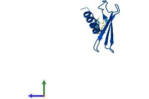 AlphaFold protein structure predicition of Human Recombinant ELOF1 Protein, UniprotID P60002