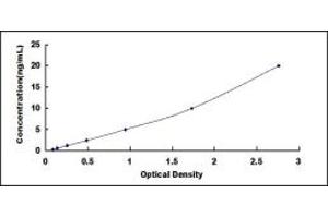 Typical standard curve (Claudin 5 ELISA Kit)