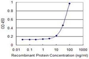 Detection limit for recombinant GST tagged EOMES is 3 ng/ml as a capture antibody. (EOMES antibody  (AA 461-569))