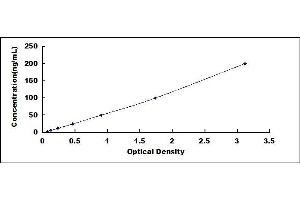 Typical standard curve (Laminin gamma 1 ELISA Kit)