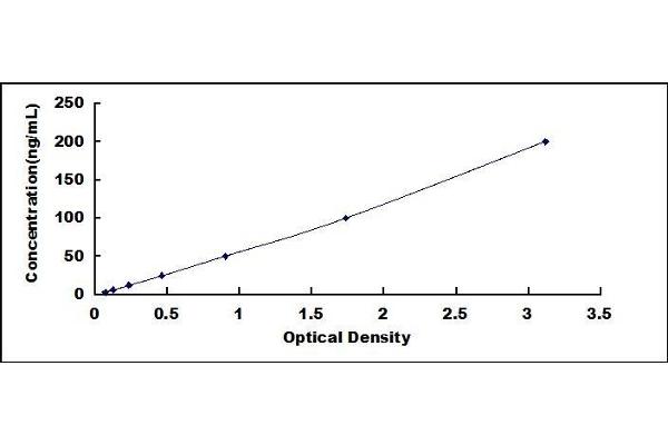 Laminin gamma 1 ELISA Kit
