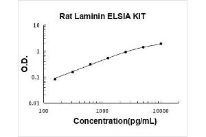 Laminin (LN) ELISA Kit