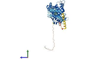 AlphaFold protein structure predicition of Mouse Recombinant Atl1 Protein, UniprotID Q8BH66 (ATL1 Protein (AA 1-558) (His tag))