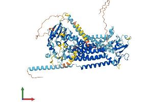 AlphaFold protein structure predicition of Human Recombinant ANO4 Protein, UniprotID Q32M45
