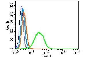 RSC96 cells probed with GPM6A Polyclonal Antibody, Unconjugated  at 1:500 for 30 minutes followed by incubation with a conjugated secondary (PE conjugated) (green) for 30 minutes compared to control cells (blue), secondary only (light blue) and isotype control (orange). (GPM6A antibody  (AA 151-250))