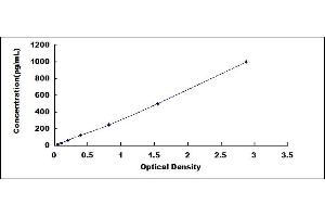 Typical standard curve (TNF alpha ELISA Kit)