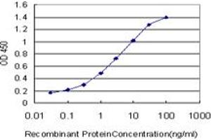 Detection limit for recombinant GST tagged KLF9 is approximately 0. (KLF9 antibody  (AA 25-101))