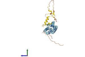 AlphaFold protein structure predicition of Human Recombinant YIPF5 Protein, UniprotID Q969M3 (YIPF5 Protein (AA 1-257) (His tag))