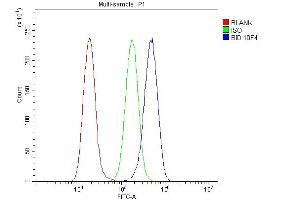 Flow Cytometry analysis of A549 cells using anti- Bid antibody (ABIN7599062). (BID antibody  (AA 1-195))