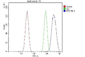 Flow Cytometry analysis of HEPA1-6 cells using anti-IRF3 antibody (ABIN7599372). (IRF3 antibody  (AA 1-419))
