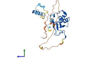 AlphaFold protein structure predicition of Mouse Recombinant Mettl8 Protein, UniprotID A2AUU0 (METTL8 Protein (AA 1-281) (His tag))