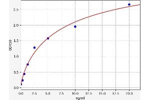 LAMP2 ELISA Kit