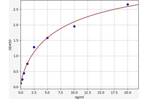 LAMP2 ELISA Kit