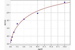 Typical standard curve (LAMP2 ELISA Kit)