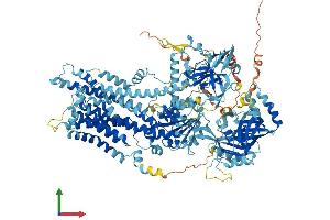AlphaFold protein structure predicition of Human Recombinant ATP8B1 Protein, UniprotID O43520