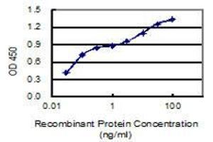 Detection limit for recombinant GST tagged AMPD2 is 0. (AMPD2 antibody  (AA 86-185))