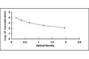ELISA image for Cross-Linked C-Telopeptides of Type I Collagen (CTX-I) ELISA Kit (ABIN414763)