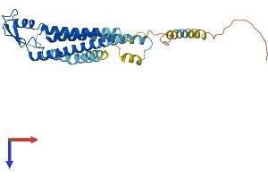 GJB1 Protein (AA 1-283) (His tag)