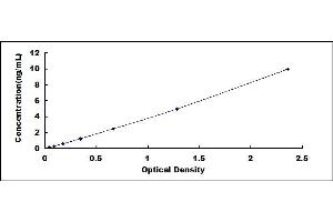 Typical standard curve (WNT3 ELISA Kit)