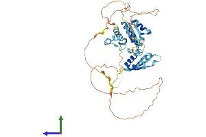Protein Structure (PS) image for Heterogeneous Nuclear Ribonucleoprotein K (HNRNPK) (AA 1-463) protein (His tag) (ABIN7563497)