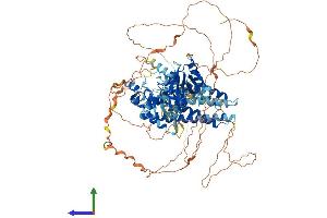 Protein Structure (PS) image for FYVE, RhoGEF and PH Domain Containing 1 (FGD1) (AA 1-961) protein (His tag) (ABIN7553948)
