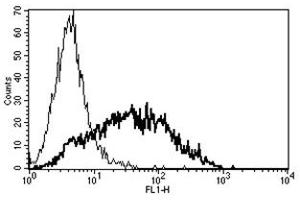 Flow Cytometry (FACS) image for anti-Interleukin 2 Receptor, alpha (IL2RA) antibody (ABIN1106138) (CD25 antibody)