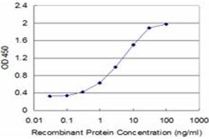 Detection limit for recombinant GST tagged CBS is approximately 0. (CBS antibody  (AA 1-100))