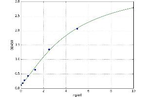 Potassium Inwardly-Rectifying Channel, Subfamily J, Member 10 (KCNJ10) ELISA Kit