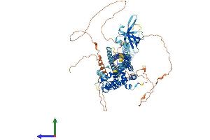 AlphaFold protein structure predicition of Mouse Recombinant Ophn1 Protein, UniprotID Q99J31
