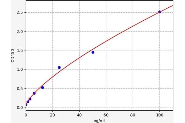 Talin ELISA Kit