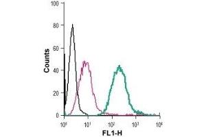 Cell surface detection of Sortilin in live intact mouse J774 macrophage cells: (black line) Cells. (Sortilin 1 antibody  (Extracellular Domain) (FITC))
