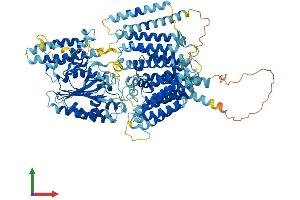 AlphaFold protein structure predicition of Human Recombinant PIGG Protein, UniprotID Q5H8A4 (PIGG Protein (AA 1-983) (His tag))