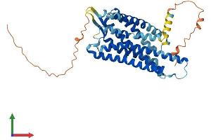 AlphaFold protein structure predicition of Human Recombinant PROKR2 Protein, UniprotID Q8NFJ6