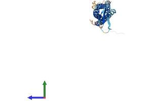 Protein Structure (PS) image for Sarcospan (Kras Oncogene-Associated Gene) (SSPN) (AA 1-243) protein (His tag) (ABIN7546445)