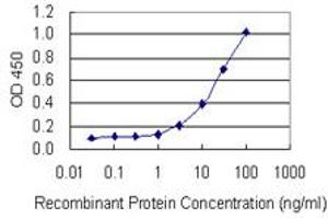 Detection limit for recombinant GST tagged FTMT is 0. (Ferritin Mitochondrial antibody  (AA 143-242))