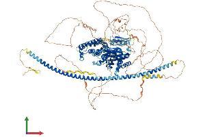 Protein Structure (PS) image for DAB2 Interacting Protein (DAB2IP) (AA 1-1189) protein (His tag) (ABIN7553613)