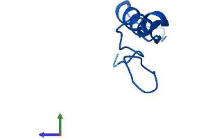 AlphaFold protein structure predicition of Human Recombinant RPL39P5 Protein, UniprotID Q59GN2