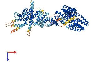 AlphaFold protein structure predicition of Mouse Recombinant Ttc7a Protein, UniprotID Q8BGB2