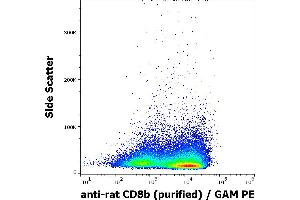 Flow cytometry surface staining pattern of rat splenocytes suspension stained using anti-rat CD8b (341) purified antibody (concentration in sample 1 μg/mL) GAM PE. (CD8B antibody)