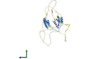 AlphaFold protein structure predicition of Human Recombinant CPSF7 Protein, UniprotID Q8N684 (CPSF7 Protein (AA 1-471) (His tag))