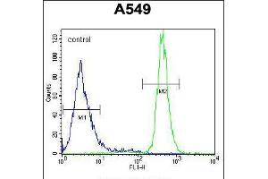 Flow cytometric analysis of A549 cells (right histogram) compared to a negative control cell (left histogram). (WFDC12 antibody  (C-Term))
