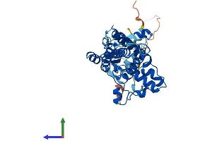 AlphaFold protein structure predicition of Human Recombinant FA2H Protein, UniprotID Q7L5A8 (FA2H Protein (AA 1-372) (His tag))