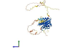 Protein Structure (PS) image for DOK2 (DOK2) (AA 1-412) protein (His tag) (ABIN7562552)