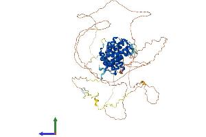 AlphaFold protein structure predicition of Mouse Recombinant Rrp1b Protein, UniprotID Q91YK2 (RRP1B Protein (AA 1-724) (His tag))