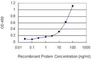 Detection limit for recombinant GST tagged DCTN1 is 0. (Dynactin 1 antibody  (AA 1-198))