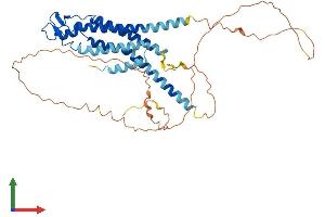 AlphaFold protein structure predicition of Mouse Recombinant Gja3 Protein, UniprotID Q64448