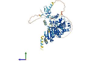 AlphaFold protein structure predicition of Human Recombinant DDX59 Protein, UniprotID Q5T1V6 (DDX59 Protein (AA 1-619) (His tag))